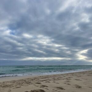 Meet your Posher, Malia